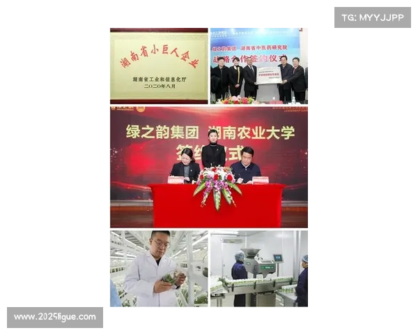 台北巨人队主力登陆榕城 台盟协办助力加速人才流通