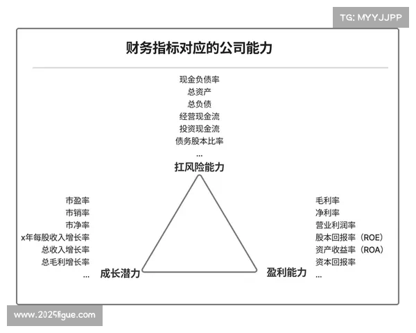 中甲升超审核严格，财务健康成关键指标